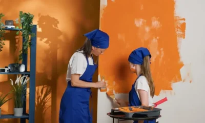 Professional Apartment Painters