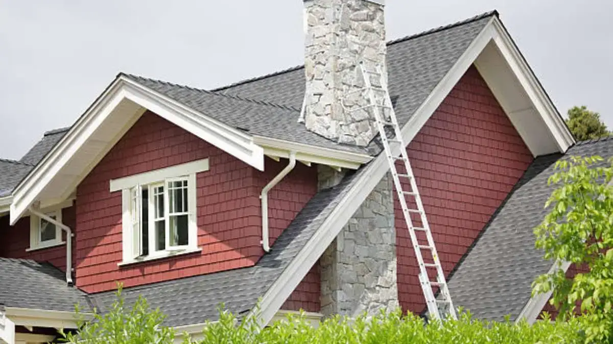 Roof Service