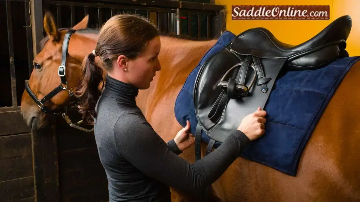 SaddleOnline.com