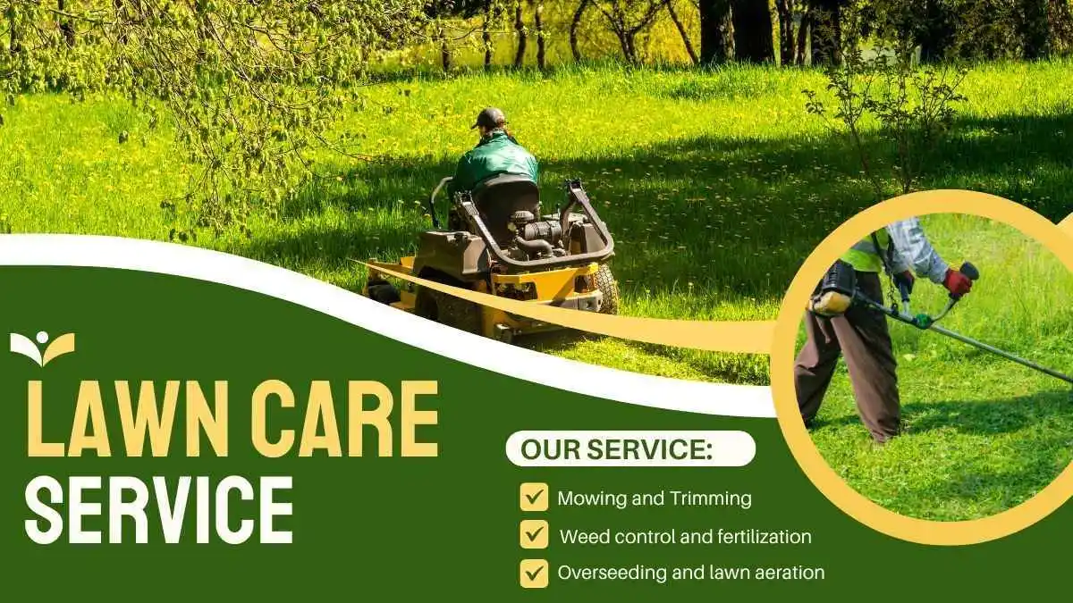 Lawn Services