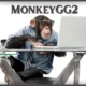 MonkeyGG2