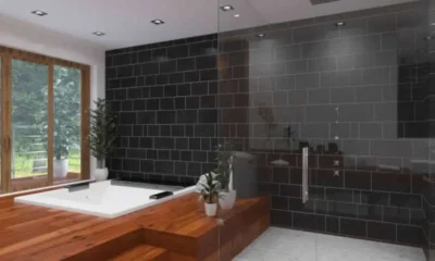 Tub-to-Shower Conversion