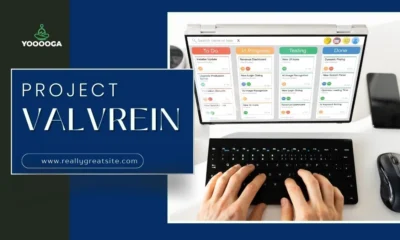 Project Valvrein