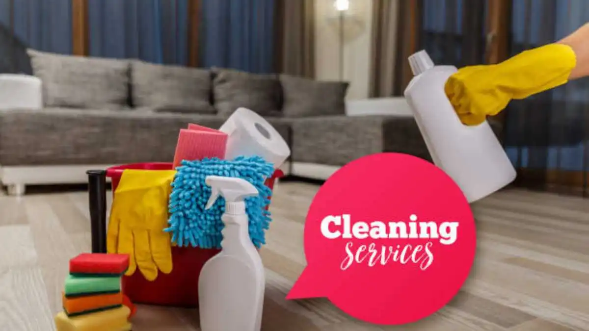 Standard Cleaning and Deep Cleaning