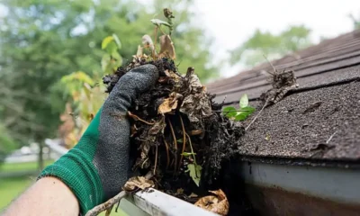 Regular Gutter Cleaning