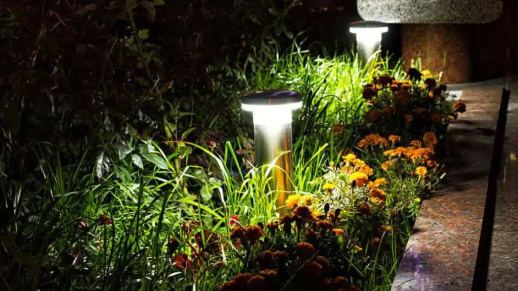 The Art of Landscape Lighting