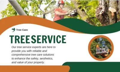 Professional Tree Care