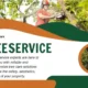 Professional Tree Care