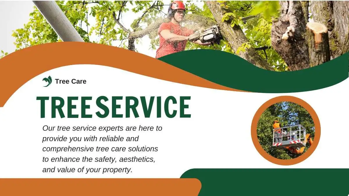 Professional Tree Care