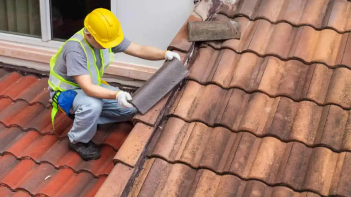 Understanding Roof Repair vs. Roof Replacement: Making the Right Choice