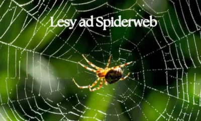 Lesy ad Spiderweb