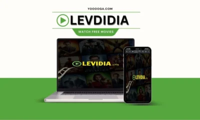 Levidia