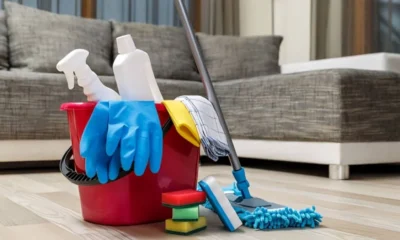 Professional Cleaning Services