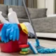 Professional Cleaning Services