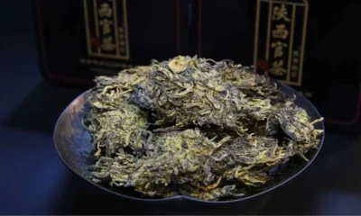 Fuzhuan Brick Tea