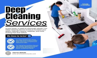 Professional Deep Cleaning