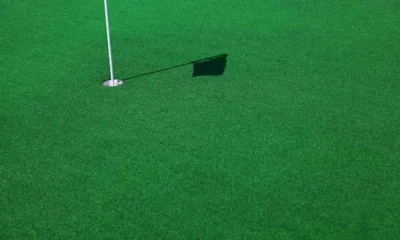 Backyard Putting Greens