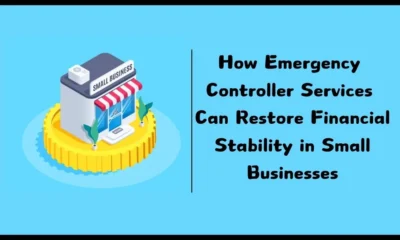 How Emergency Controller Services Can Restore Financial Stability in Small Businesses