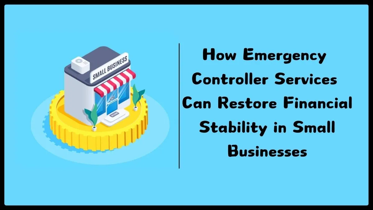 How Emergency Controller Services Can Restore Financial Stability in Small Businesses