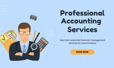 Professional Accounting Services