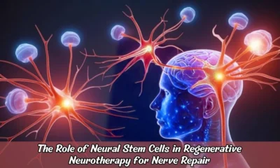 The Role of Neural Stem Cells in Regenerative Neurotherapy for Nerve Repair