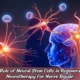 The Role of Neural Stem Cells in Regenerative Neurotherapy for Nerve Repair