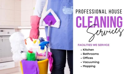 Professional House Cleaning