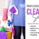 Professional House Cleaning