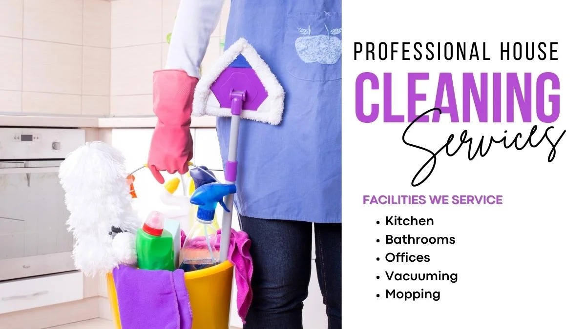 Professional House Cleaning