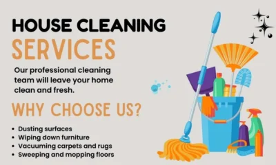 Professional House Cleaning Services