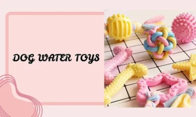 Dog Water Toys