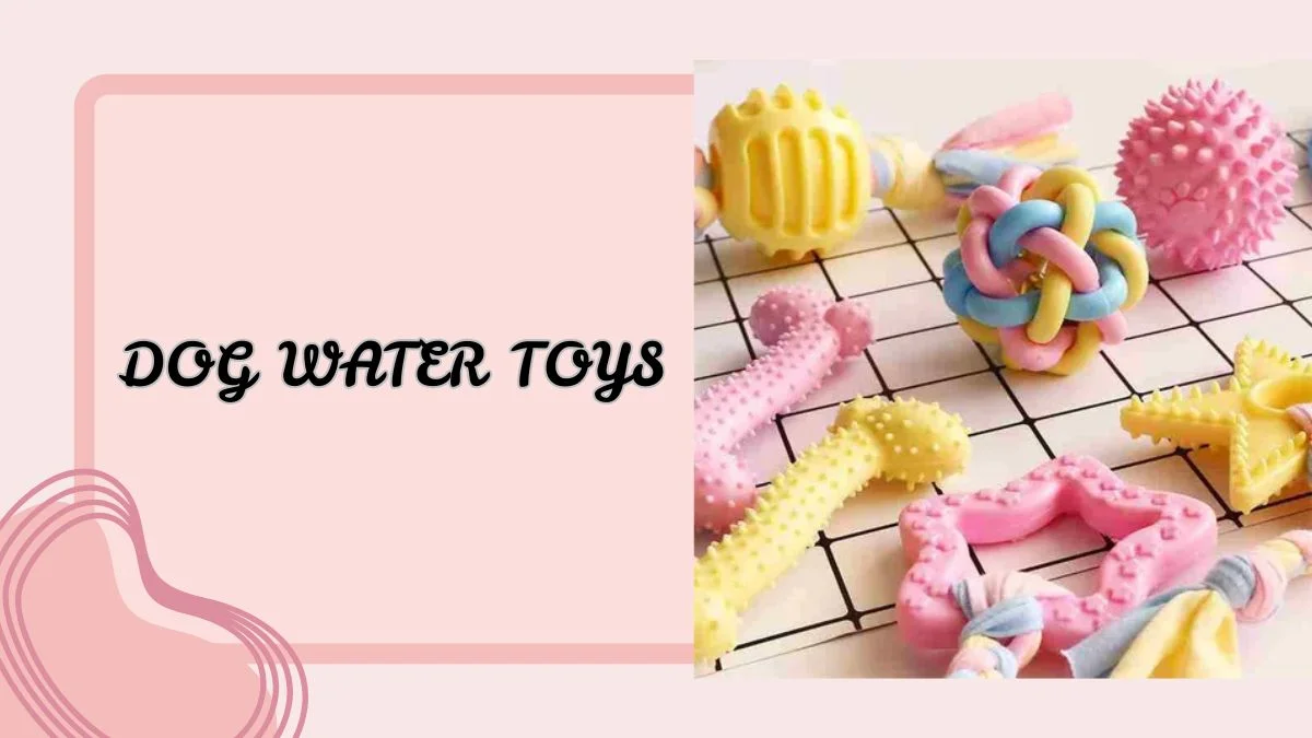 Dog Water Toys