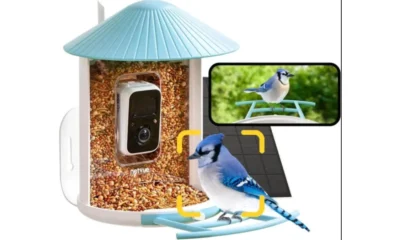 Best Bird Feeder Camera