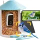 Best Bird Feeder Camera