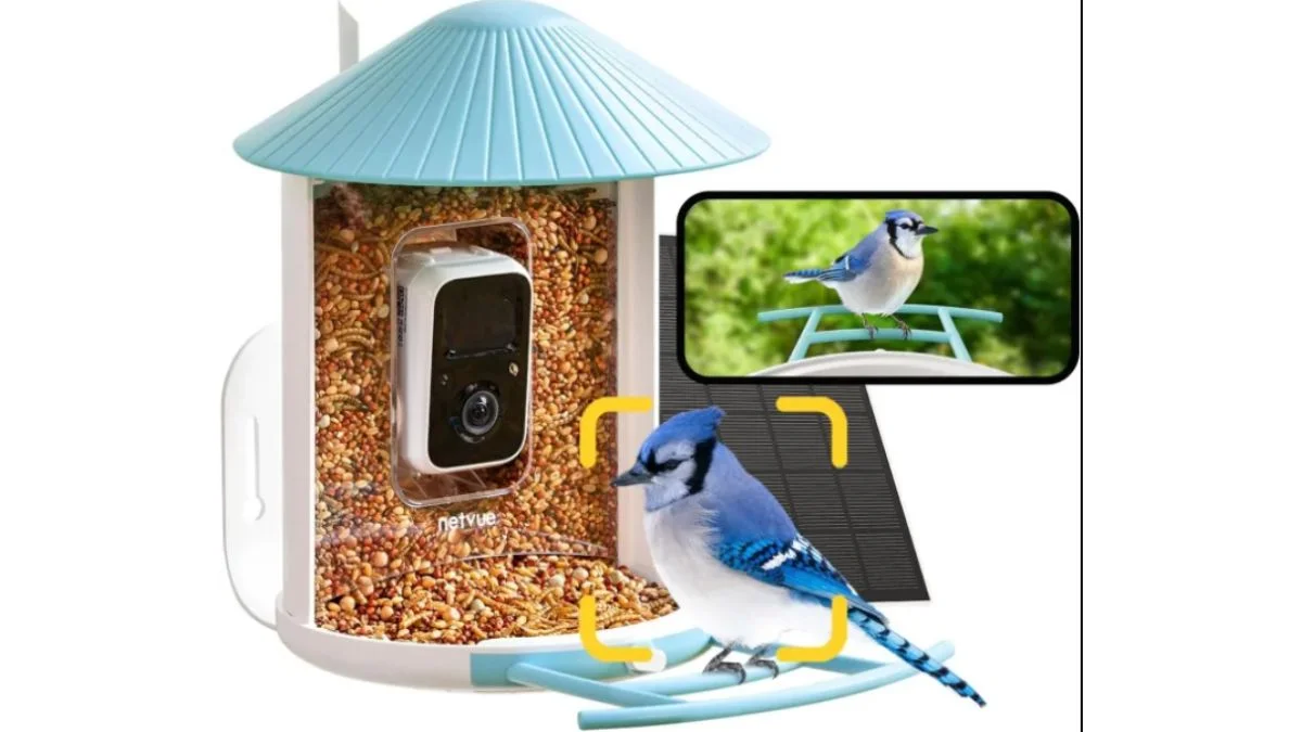 Best Bird Feeder Camera