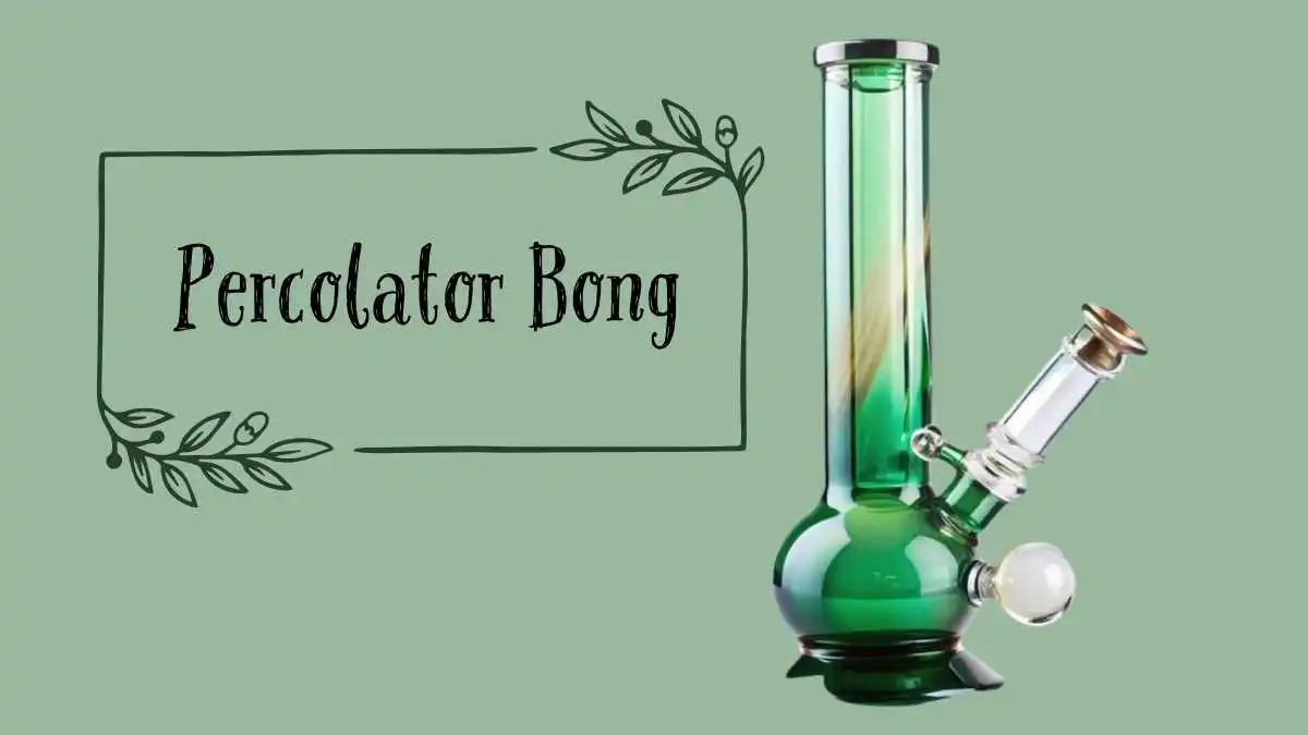 Percolator Bong