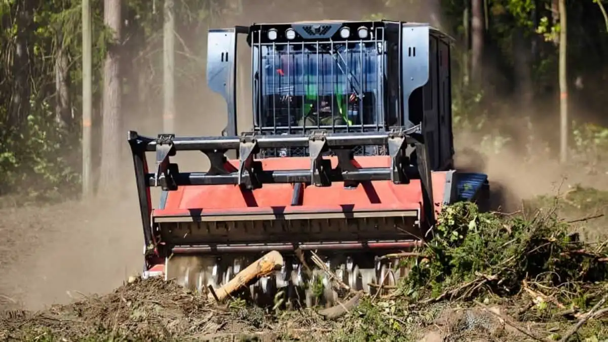 Forestry mulching is a one-step process that uses specialized machinery to cut, grind, and spread organic material back onto the ground.