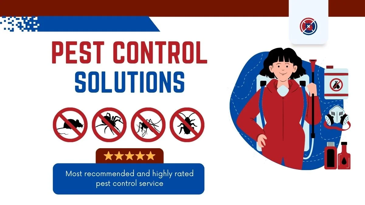 The Importance of Year-Round Pest Control: Why Prevention is Key