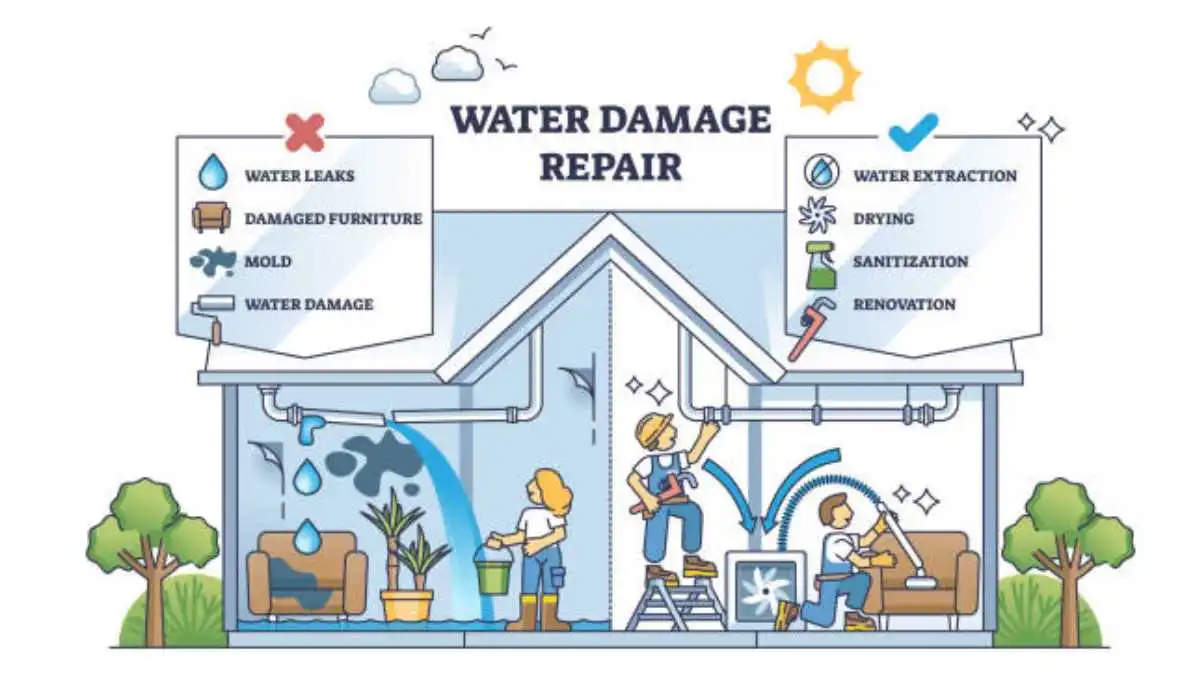 Understanding Water Damage Restoration: A Guide to Protecting Your Property